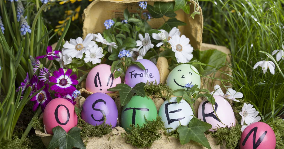 Bunte Deko für Ostern – Darüber freut sich der Osterhase - Mauk Gartenwelt