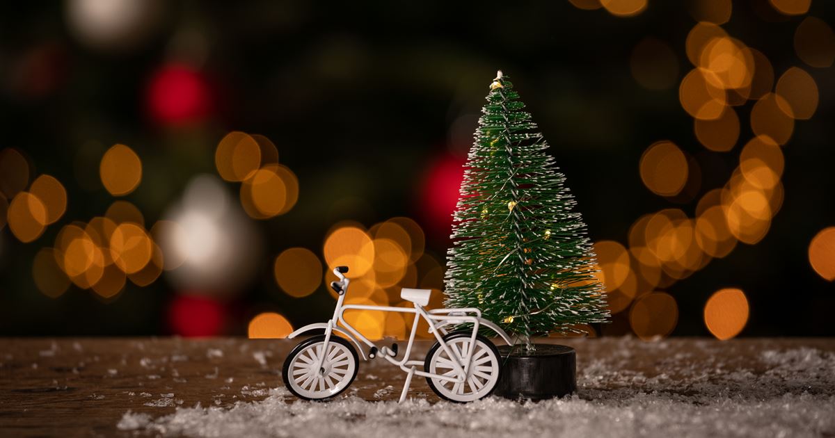 Den Garten an Weihnachten in die richtige Stimmung bringen - Mauk