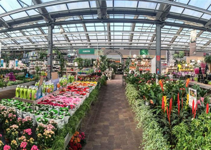 Mauk Gartenwelt in KarlsruheGrötzingen Pflanzen Mauk Blumenparadies