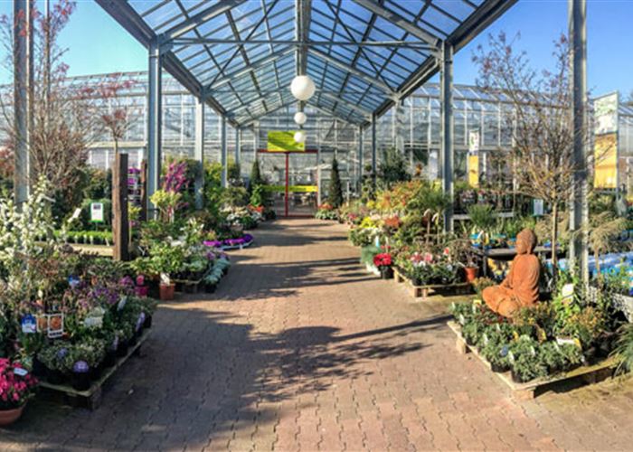 Mauk Gartenwelt in KarlsruheGrötzingen Pflanzen Mauk Blumenparadies