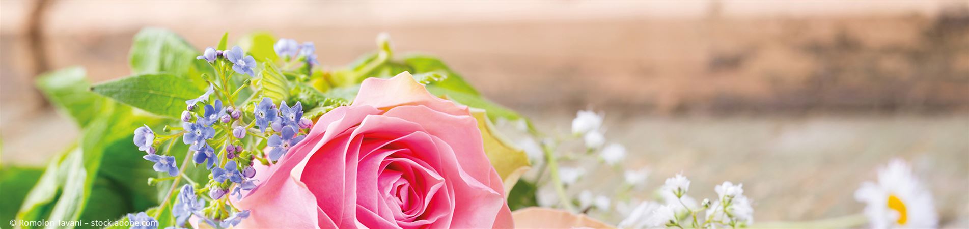 Mauk Gartenwelt | Pflanzen, Grills, Gartenmöbel, Gartengeräte und mehr