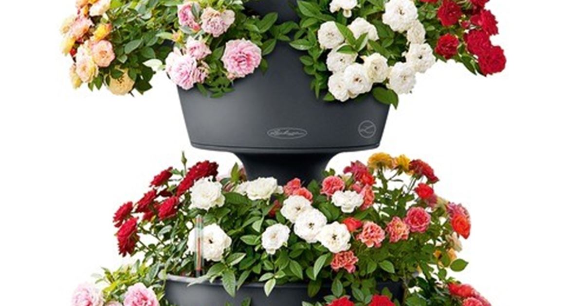 Lechuza Zubehörset Cascada Color Erweiterungsset für Blummenturm - Mauk