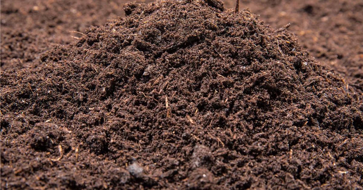Welche Blumenerde ist für welche Pflanzenarten Mauk Gartenwelt
