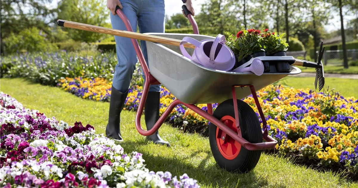 Mit der Gartenbox kommt endlich Ordnung in den Garten Mauk Gartenwelt