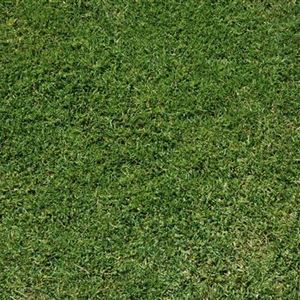 Nasser Rasen ohne Ende – mach dich mal locker, Boden! - Mauk Gartenwelt