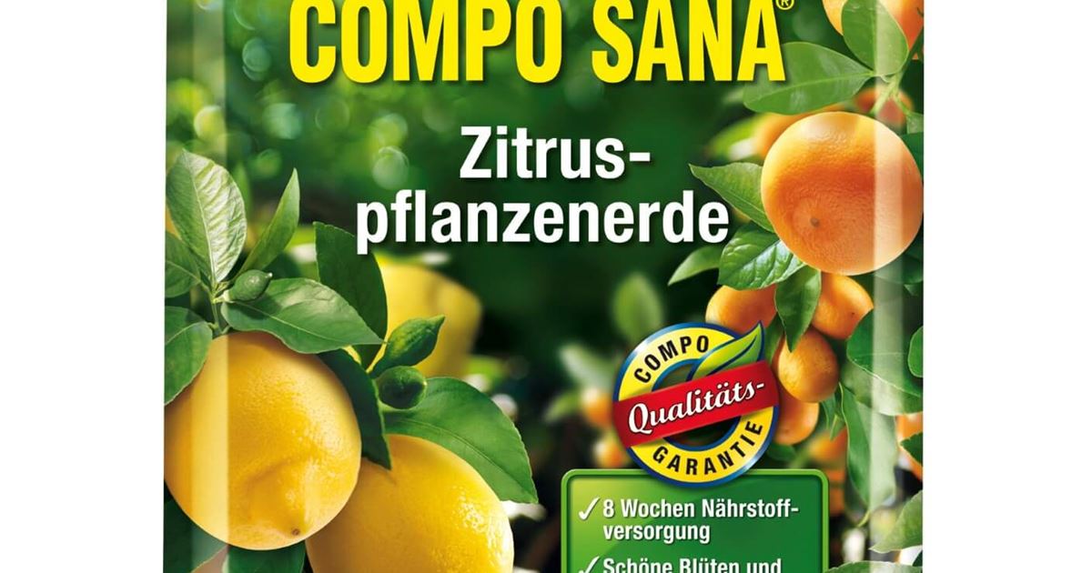 Compo Sana Zitruspflanzenerde 10L - Mauk Gartenwelt
