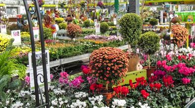 Mauk Gartenwelt in Balingen Mauk Gartenwelt