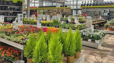 Mauk Gartenwelt in Bruchsal Pflanzen Mauk Blumenparadies