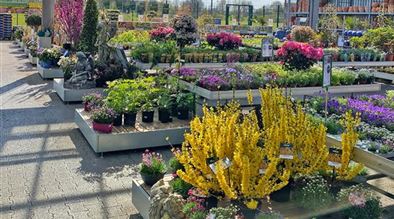 Mauk Gartenwelt in Bruchsal Pflanzen Mauk Blumenparadies