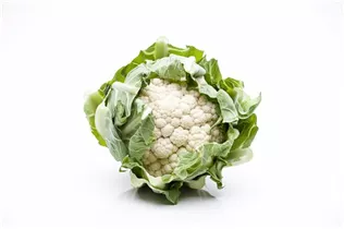Brassica oleracea var. botrytis - Blumenkohl Brassica oleracea var. botrytis - Blumenkohl