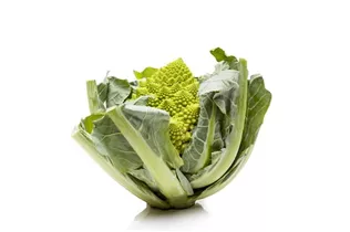 Brassica oleracea var. botrytis - Blumenkohl Brassica oleracea var. botrytis - Blumenkohl