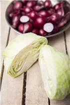 Brassica oleracea var. capitata f. alba - Weißkohl