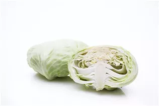 Brassica oleracea var. capitata f. alba - Weißkohl