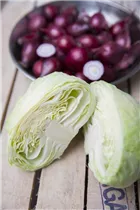 Brassica oleracea var. capitata f. alba - Weißkohl