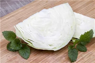 Brassica oleracea var. capitata f. alba - Weißkohl