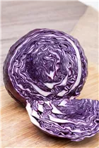 Brassica oleracea var. capitata f. rubra - Rotkohl