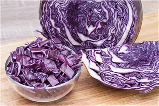 Brassica oleracea var. capitata f. rubra - Rotkohl