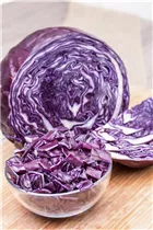 Brassica oleracea var. capitata f. rubra - Rotkohl