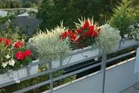 - Balkon umgestalten – Frischer Wind für die kleine Oase!  - Balkon umgestalten – Frischer Wind für die kleine Oase!