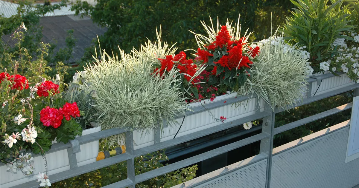  - Balkon umgestalten – Frischer Wind für die kleine Oase!