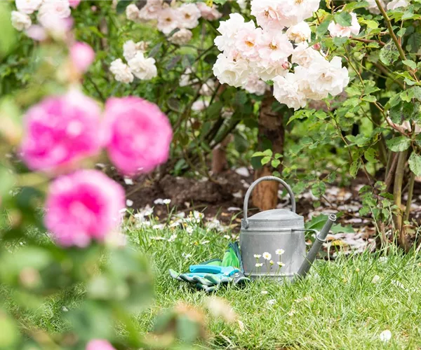 - Bewässerungsanlagen im Garten – entspannt sitzen statt schwitzen  - Bewässerungsanlagen im Garten – entspannt sitzen statt schwitzen