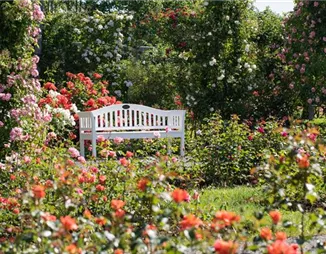 Richtige Gartenmöbelpflege - Schönheitskur für Bank und Co.