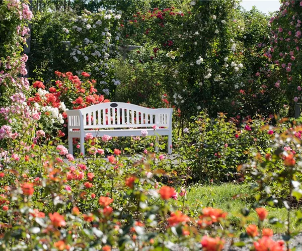 - Richtige Gartenmöbelpflege - Schönheitskur für Bank und Co.  - Richtige Gartenmöbelpflege - Schönheitskur für Bank und Co.