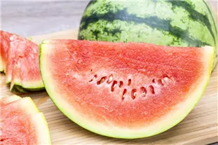 Citrullus lanatus var. lanatus - Wassermelone Citrullus lanatus var. lanatus - Wassermelone