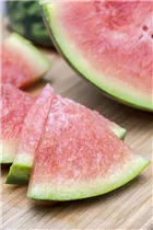 Citrullus lanatus var. lanatus - Wassermelone Citrullus lanatus var. lanatus - Wassermelone
