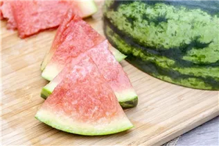 Citrullus lanatus var. lanatus - Wassermelone Citrullus lanatus var. lanatus - Wassermelone