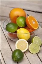 Citrus limon - Zitrone