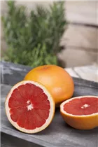 Citrus sinensis - Orange