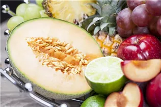 Cucumis melo 'Galia' - Zuckermelone 'Galia'