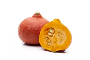 Cucurbita maxima - Speise-Kürbis Cucurbita maxima - Speise-Kürbis