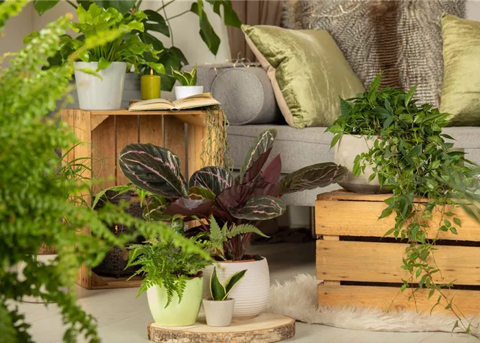 Pflanzgefäße & Zubehör Pflanzgefäße & Zubehör