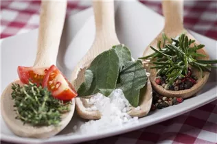 Küchenkräuter - Küchenkräuter Küchenkräuter - Küchenkräuter