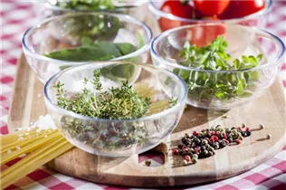 Küchenkräuter - Küchenkräuter Küchenkräuter - Küchenkräuter