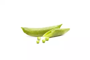 Pisum sativum - Erbse