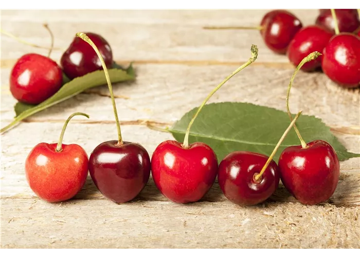 Obst Obst