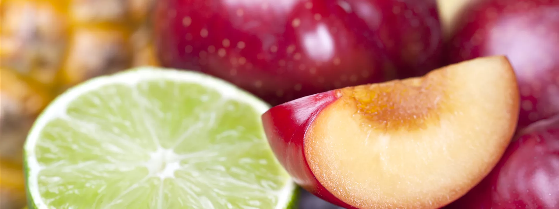 Citrus x aurantifolia Citrus x aurantifolia
