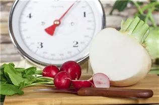 Brassica rapa subsp. rapa var. majalis - Mairübe