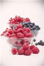 - Vaccinium corymbosum  - Vaccinium corymbosum