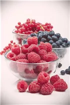 - Vaccinium corymbosum  - Vaccinium corymbosum