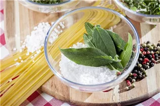  - Salvia officinalis