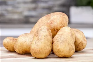  - Solanum tuberosum