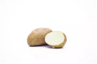  - Solanum tuberosum