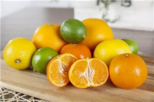 Citrus reticulata - Mandarine