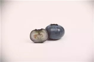 - Vaccinium corymbosum  - Vaccinium corymbosum