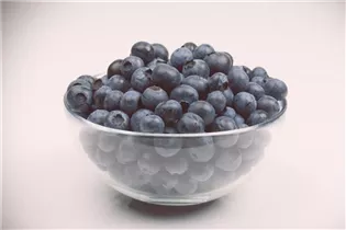 - Vaccinium corymbosum  - Vaccinium corymbosum