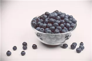 - Vaccinium corymbosum  - Vaccinium corymbosum